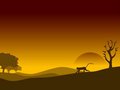 Free Wandering Monkey Royalty Free Stock Photos - 5492898
