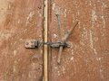 Free Safe Locked Door Royalty Free Stock Photography - 5497717