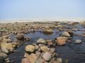 Free Creek And Ocean Stock Photography - 550852
