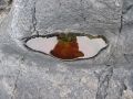 Free Tide Pool Stock Images - 554074