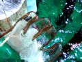 Free Glass Hand Water Special Effects Royalty Free Stock Photo - 555935