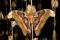 Free Atlas Moth Butterfly Stock Photography - 558682