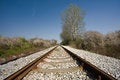 Free Railroad Tracks Stock Photos - 5501783
