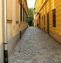 Free Cobblestone Narrow Street Royalty Free Stock Photography - 5509787