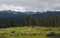 Free Path Into Mountain Rain Stock Photos - 5500313