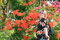 Free Silly Woman With Flowers Stock Photo - 5505320