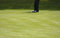 Free Golf Putting On The Green Royalty Free Stock Photo - 5506215
