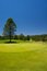 Free Gorgeous Golf Course In Arizona Royalty Free Stock Images - 5508729