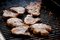 Free Juicy Pork Chops On A Grill Royalty Free Stock Image - 5508826