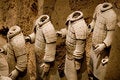 Free Terra Cotta Warriors Of Qin Royalty Free Stock Image - 5512626
