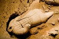 Free Terra Cotta Warriors Of Qin Stock Photo - 5512780