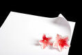 Free Page Curl With Flowers Royalty Free Stock Photography - 5516707