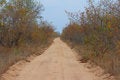Free Safari Road Stock Photo - 5518440