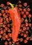 Free Multi Cherries With Large Red Pepper Royalty Free Stock Image - 5515396