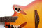 Free Guitar Close Up Royalty Free Stock Images - 5518419