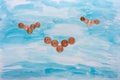 Free Birds From Eurocents In The Drawn Sky Stock Photos - 5520913