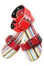 Free Trendy Red Belt And Colored Feminine Shoes Stock Image - 5521811
