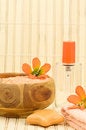 Free Bodycare Products Royalty Free Stock Photography - 5522807
