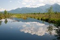 Free Bavarian Upland Moor Royalty Free Stock Photos - 5524148