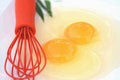 Free Whites And Yolks Stock Photography - 5524882
