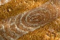 Free Bread Background Stock Photos - 5528983