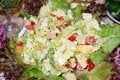Free Celebratory Lunch Royalty Free Stock Image - 5529296