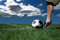 Free Soccer Player Ready To Shoot Stock Photography - 5528412