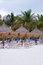 Free Tropical Beach Royalty Free Stock Photography - 5528937