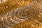 Free Bread Background Stock Photos - 5528983