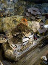 Free Hand Built Models Stock Image - 5532691