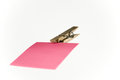 Free Wooden Peg With Post It Note Royalty Free Stock Images - 5533729