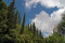 Free View Of Cyprus Forest In Greek Island Stock Images - 5534774