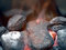 Free Charcoal - Smoldering In Flames Close Up View Stock Images - 5539294