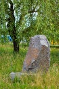 Free Stone Boulder Stock Photos - 5540963