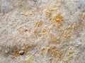 Free Stone With Yellow Spots Stock Photography - 5548032