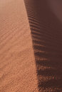 Free Desert Scenic In Arizona Royalty Free Stock Photos - 5548078