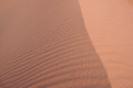 Free Sand Ripples In Arizona Stock Photography - 5548102