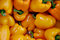 Free Colorful Yellow Peppers Royalty Free Stock Photos - 5546258