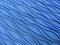 Free Blue Tex Shawl Texture 1 Royalty Free Stock Photography - 5549837