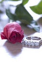 Free Rose And Ring Stock Image - 5552511