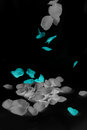 Free Falling Petal Royalty Free Stock Images - 5554079