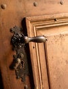 Free Brass Handle Royalty Free Stock Photo - 5554825