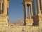 Free Palmyra, Syria Royalty Free Stock Photo - 5558755