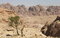Free Petra, Jordan Royalty Free Stock Photo - 5558815