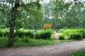 Free Summer Garden Royalty Free Stock Image - 5563516
