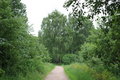 Free Summer Garden Stock Photos - 5563543