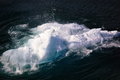 Free Moving Iceberg Stock Photos - 5568333