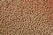 Free Abstract Texture Red Stock Photography - 5563202