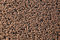 Free Pumice Texture Stock Photo - 5563230