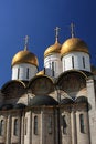 Free Cathedral Of The Assumption Royalty Free Stock Images - 5570469